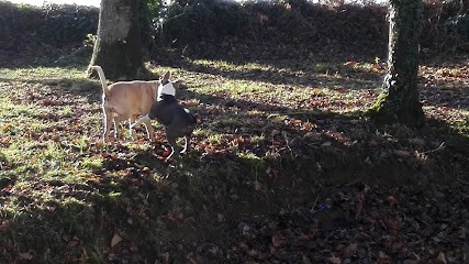 Papoin Philippe, Paysagiste à Ernée