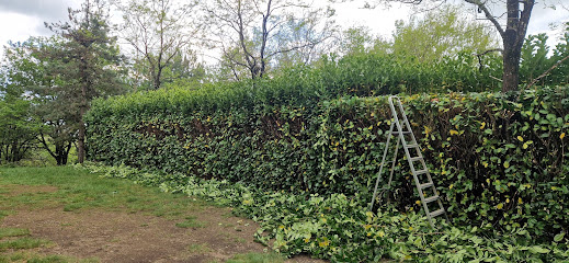Nm Entretien Jardin, Paysagiste à Labécède-Lauragais