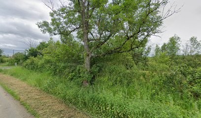 Mon Jardin Au Naturel, Paysagiste à Montilly