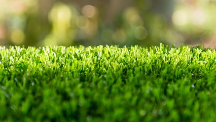 Ets Mike, Paysagiste à Heiligenberg