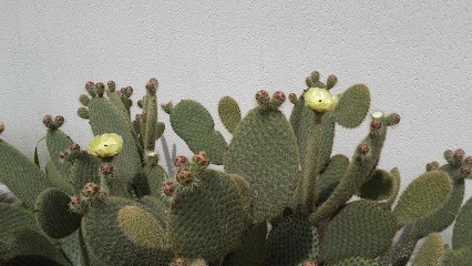 Jardi'Services, Paysagiste à Saint-Laurent-Nouan