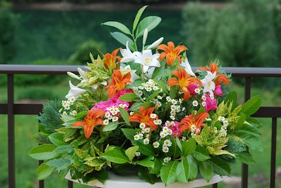 MCD Horticulture, Paysagiste à Viala-du-Tarn