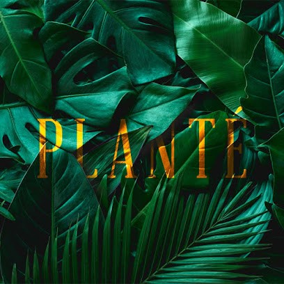 Planté - Jardins Urbains, Paysagiste à La Mulatière