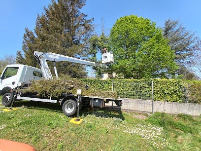 Rénovation Home Jardin, Paysagiste à Pia