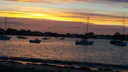 Derrien Eric, Paysagiste à Plounéour-Brignogan-plages