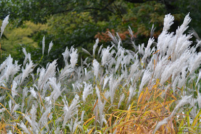 Jardinkivi Paysagiste à Massy