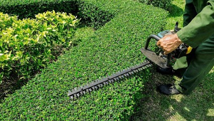 HD espace vert, Paysagiste à Auxerre