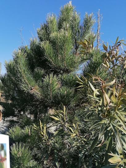 L'ABRIJARDIN, Paysagiste à La Brillanne