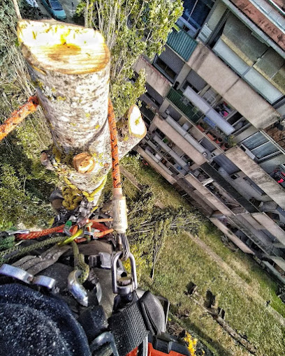 Pro Garden Paysagiste Élagage Paysagiste à la Forêt-le-Roi