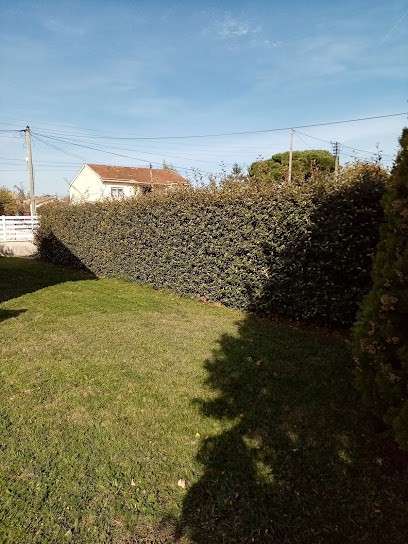 Tiffon Laurent, Paysagiste à Villenave-d'Ornon