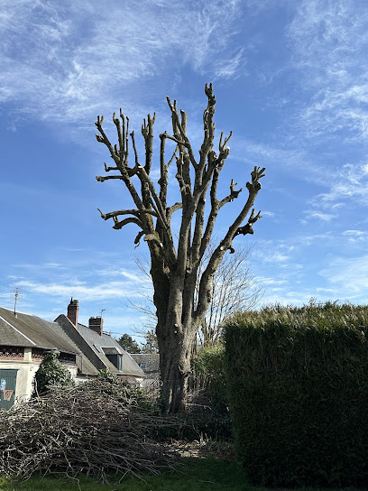 Loisel Paysage, Paysagiste à Maignelay-Montigny