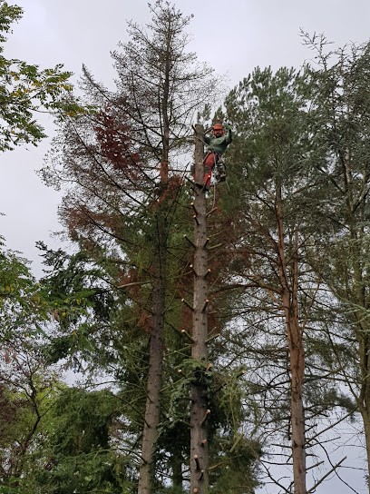 Un air de vert, Paysagiste à Sarreguemines