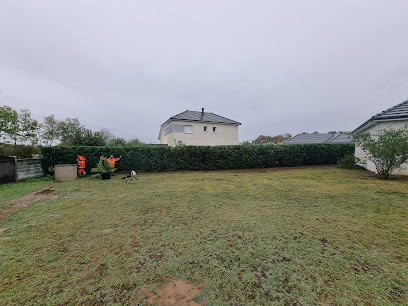 Jardin Service, Paysagiste à Mazerolles