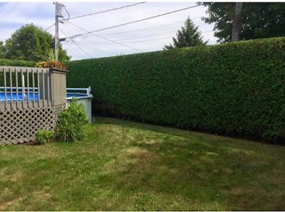 DUTOIT PARCS et JARDINS -taille de haies-élagage-tonte de pelouse-Lens-Arras-Hénin Beaumont et environs, Paysagiste à Sallaumines