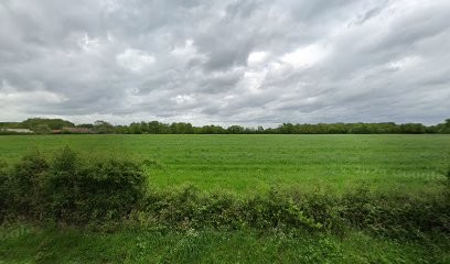 Leger Thierry, Paysagiste à Coullons