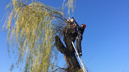 C vert paysage, Paysagiste à Peyrins