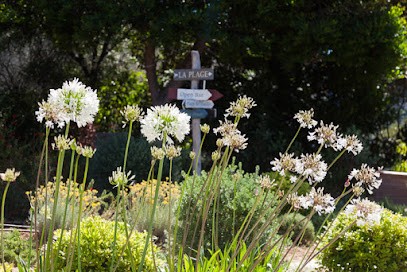 SARL MR Paysage, Paysagiste à Cavalaire-sur-Mer