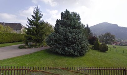 Forets Paysages Services, Paysagiste à La Balme-de-Sillingy