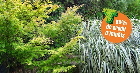 Taille à Dom' | Jardinage Service à la Personne, Paysagiste à Anse