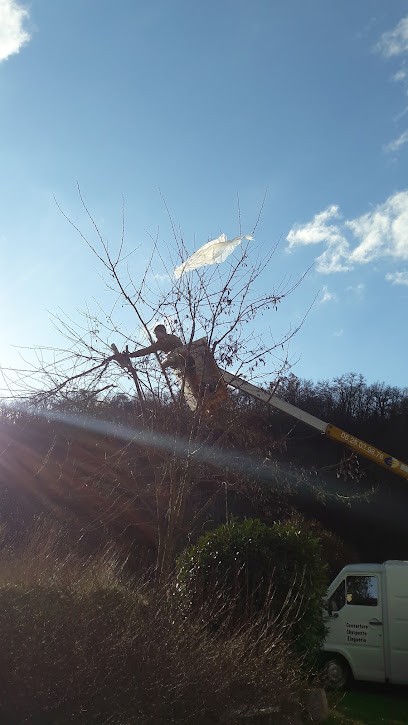 Espaces Verts Vigne, Paysagiste à Chasse-sur-Rhône