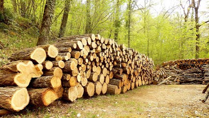 Clément Paysage à Maxilly-sur-Saône, Paysagiste à Maxilly-sur-Saône