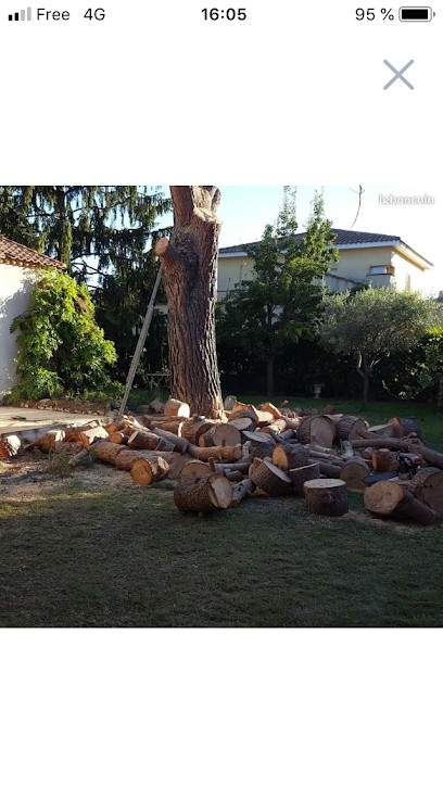 Artisan toiture, Paysagiste à Montgeron