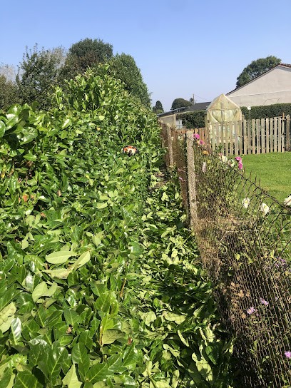 Ps élagage espace vert taille de haie, Paysagiste à Valliquerville