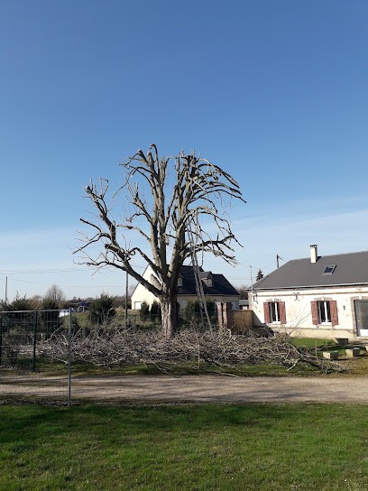 Ls paysage, Paysagiste à Mesnils-sur-Iton