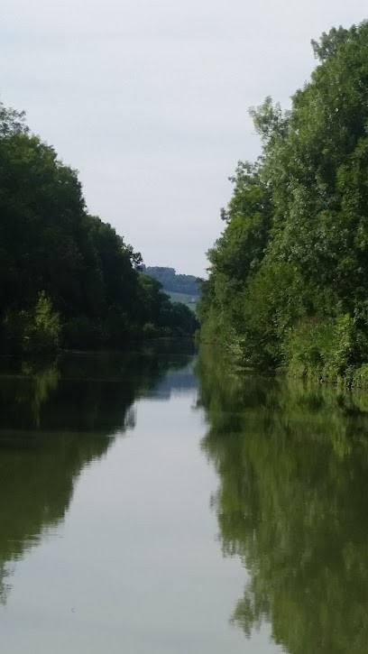 Arborescences, Paysagiste à Thauvenay