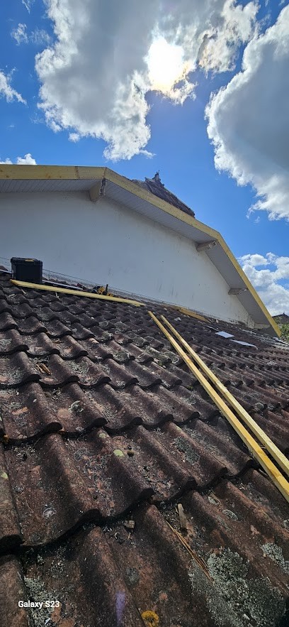 Artisan ott elagage abatage arbre haies toiture clôture peinture réparation, Paysagiste à Ham