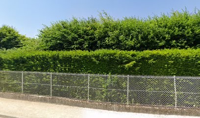 Jardins de l'Orangerie, Paysagiste à Avrainville
