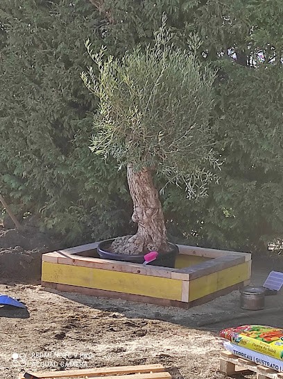 J.Dieux Élagage Espaces Verts, Paysagiste à Béthune