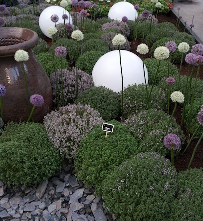 Attitude Garden, Paysagiste à Houilles