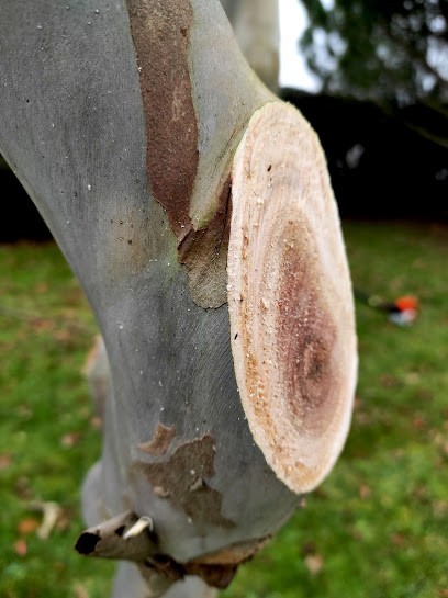 Authentic Jardin, Paysagiste à Landaul