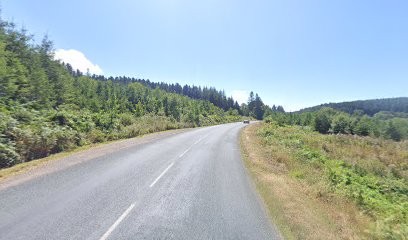 Piscines Technypools, Paysagiste à Propières
