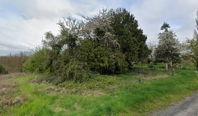 XAVIER PAYSAGE, Paysagiste à Saint-Germain-des-Fossés