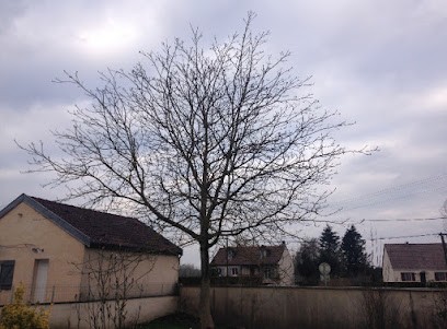Assistance aux Arbres et Jardins, Paysagiste à Nuits-Saint-Georges