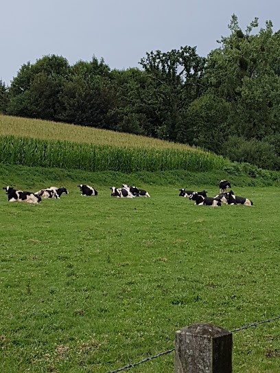 Paysages du Val de Vire, Paysagiste à Domjean