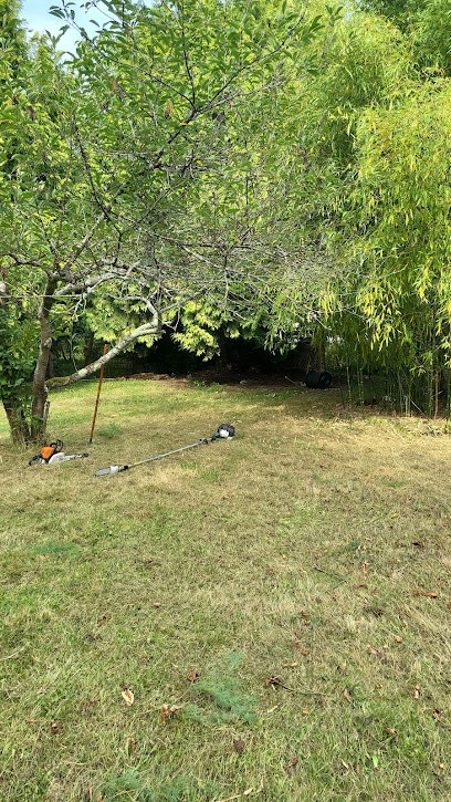 Allo Paysagiste, Paysagiste à Ris-Orangis