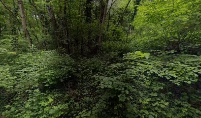 AB JARDIN SERVICES, Paysagiste à Eulmont