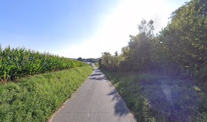 Krahenbuhl Paysage Espace Vert, Paysagiste à Othis