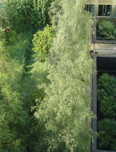 Jean-Michel Rameau, Paysagiste à Paris 03