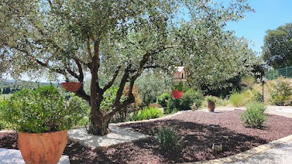 SAS Faure Paysage, Paysagiste à Grillon