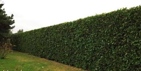 Presta'Terre Espaces Verts, Paysagiste à Fitz-James