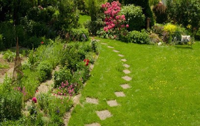Espace Vert Gilles Bouvard, Paysagiste à Sèvres