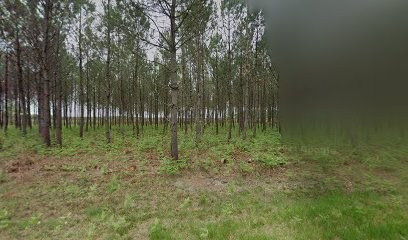 E.S.A.T du Marensin, Paysagiste à Lesperon