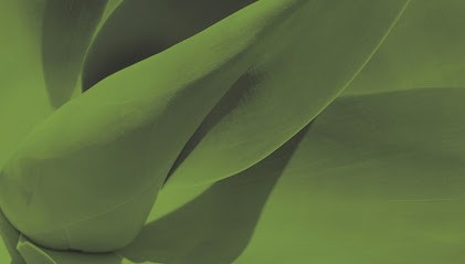 Atelier KLP, Paysagiste à Villepot