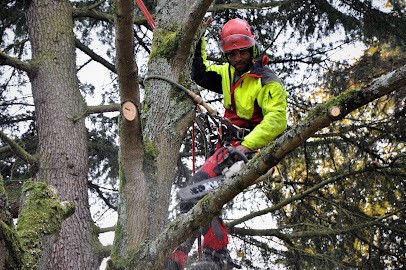 ADN PARIS SUD - SOS JARDINS, Paysagiste à Linas