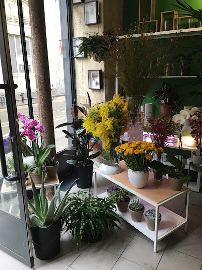 Horticus, Paysagiste à Paris 10