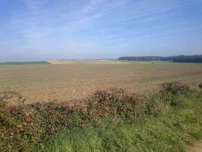 Jardin Service, Paysagiste à Adelange